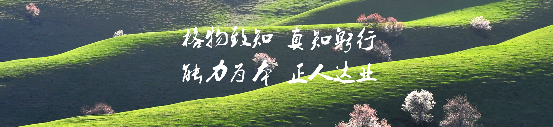 华科春雨屋在线云课程平台